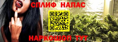 гидропоника Гусиноозёрск