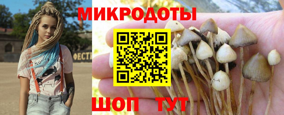 Псилоцибиновые грибы ЛСД Новосибирск